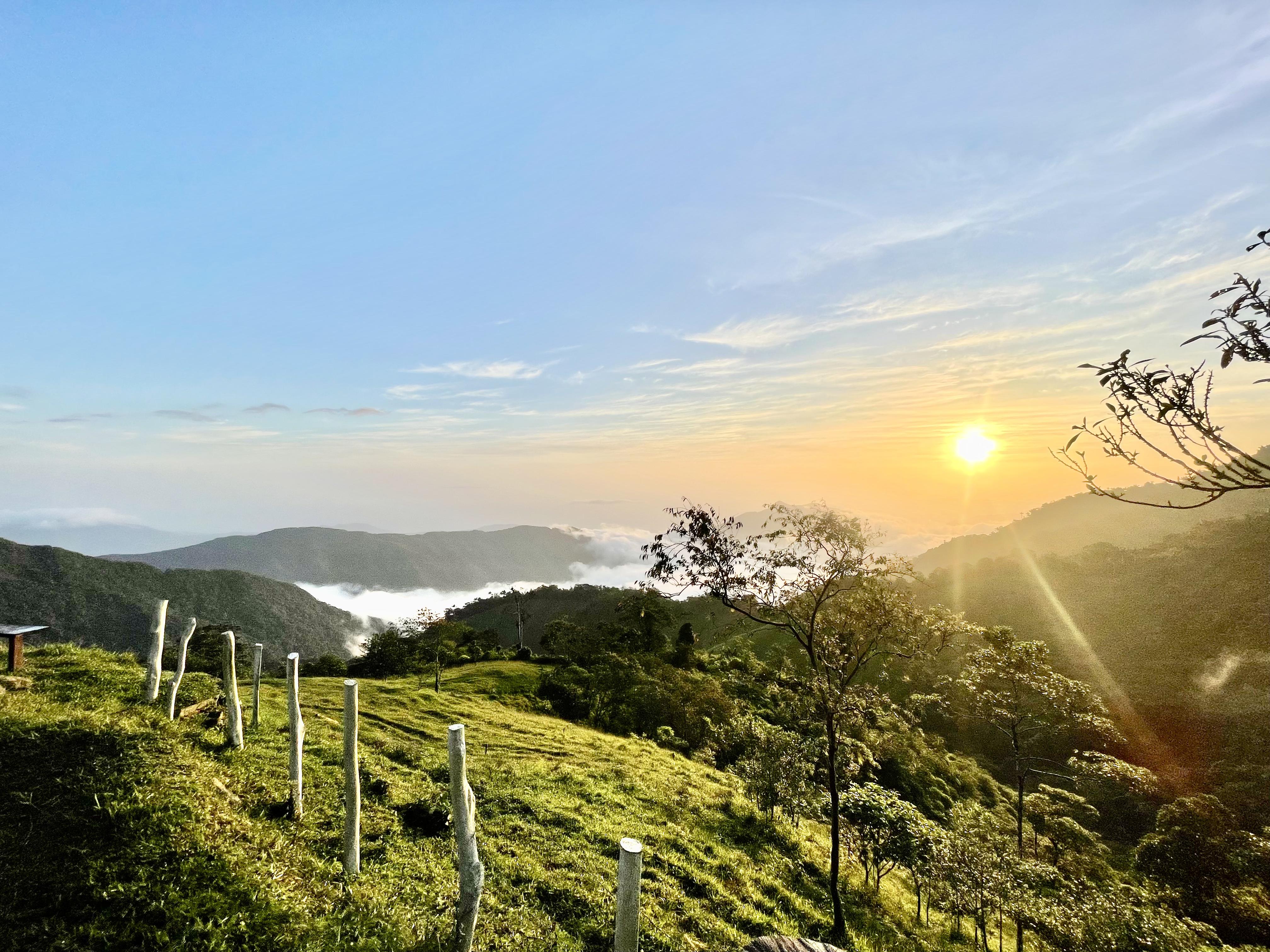 Vista panorámica